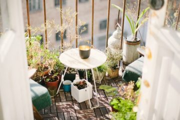 Gardening in Apartments for Beginners