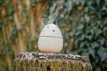 5 Use of Humidifiers: Benefits and Risks