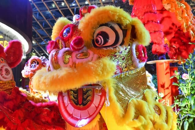 Why Do People Have Lion Dance Ceremonies?