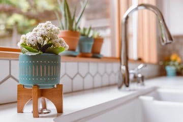 Are Grohe Water Taps Worth Buying?